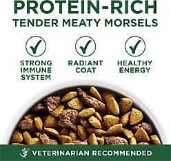 Purina ONE +Plus Adult Small Breed Lamb & Rice Formula Dry Dog Food, 15-lb bag slide 2 of 8