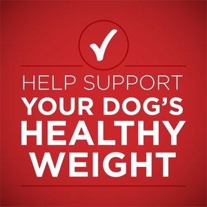 Purina ONE +Plus Adult Tender Cuts in Gravy Healthy Weight Lamb & Brown Rice Entree Canned Dog Food, 13-oz, case of 12