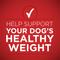 Show in main carousel: Purina ONE +Plus Adult Tender Cuts in Gravy Healthy Weight Lamb & Brown Rice Entree Canned Dog Food, 13-oz, case of 12 slide 5 of 11
