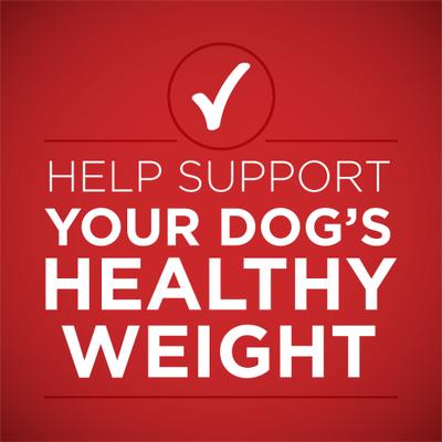 Show full view: Purina ONE +Plus Adult Tender Cuts in Gravy Healthy Weight Lamb & Brown Rice Entree Canned Dog Food, 13-oz, case of 12 slide 5 of 11