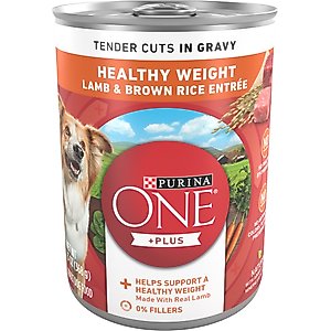 Purina ONE +Plus Adult Tender Cuts in Gravy Healthy Weight Lamb & Brown Rice Entree Canned Dog Food, 13-oz, case of 12