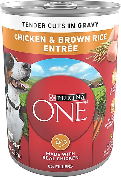 Purina ONE SmartBlend Tender Cuts in Gravy Chicken & Brown Rice Entree Adult Canned Dog Food