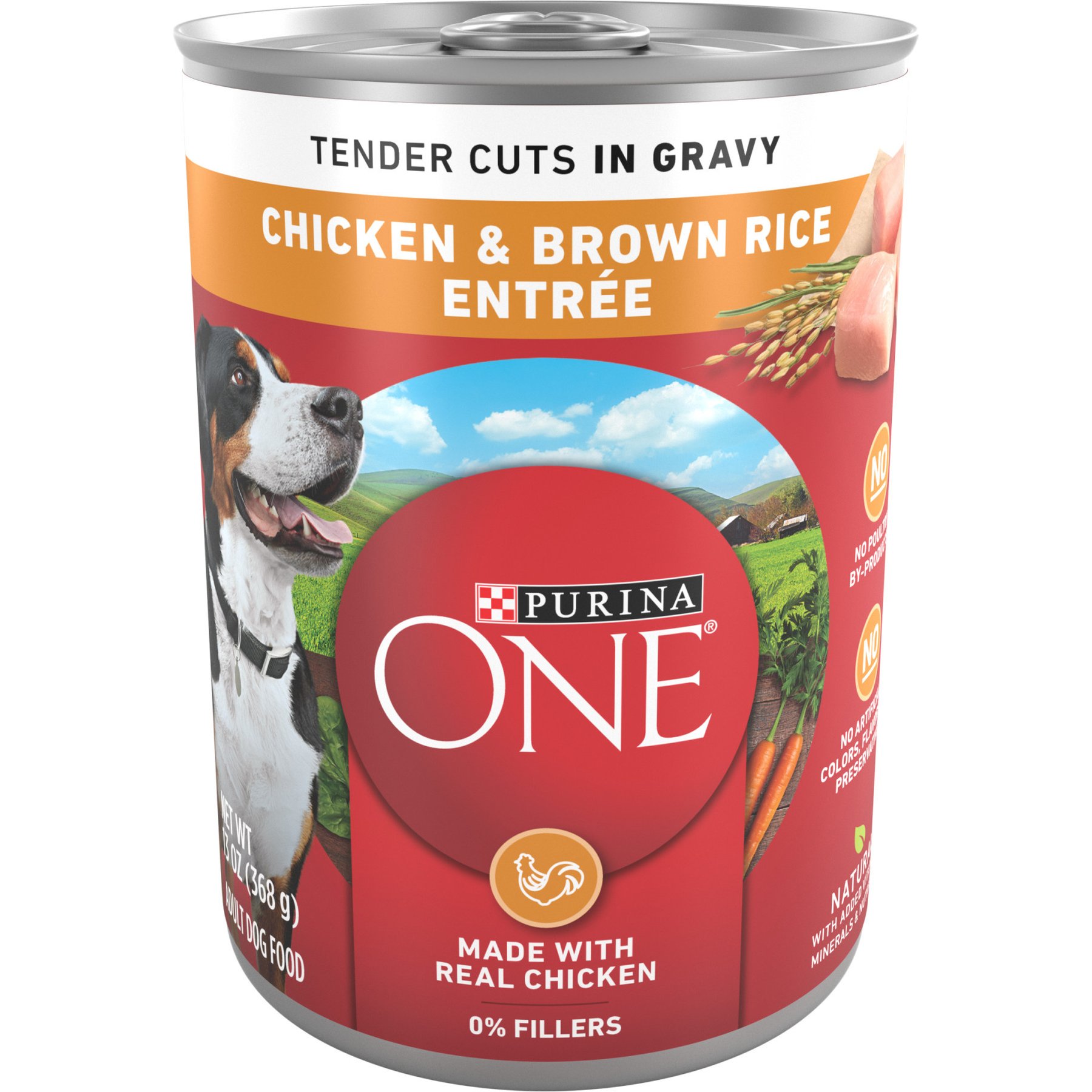 Purina ONE SmartBlend Tender Chicken & Rice Dog Food, 13-oz, 12 ct