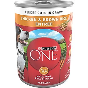 Purina ONE SmartBlend Tender Cuts in Gravy Chicken & Brown Rice Entree Adult Canned Dog Food, 13-oz, case of 12