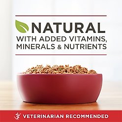 Purina ONE SmartBlend Classic Ground Beef & Brown Rice Entree Adult Canned Dog Food, 13-oz can, case of 12 slide 2 of 9