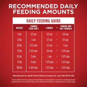 Purina ONE SmartBlend Adult Classic Ground Chicken & Brown Rice Entree Canned Dog Food, 13-oz, case of 12