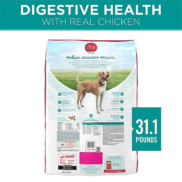 Purina ONE +Plus Adult Digestive Health Formula Dry Dog Food