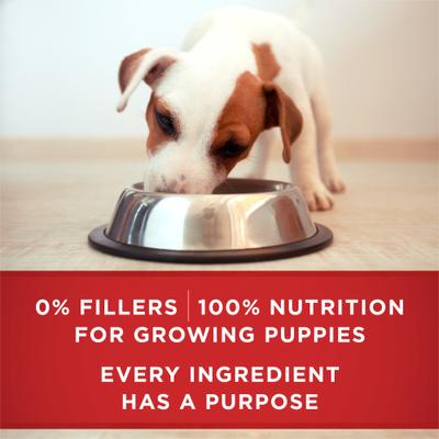 Show full view: Purina ONE +Plus Classic Ground Healthy Puppy Lamb & Long Grain Rice Entree Canned Dog Food, 13-oz, case of 12 slide 9 of 12