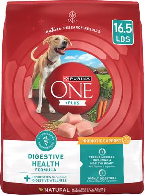 Purina ONE +Plus Adult Digestive Health Formula Dry Dog Food