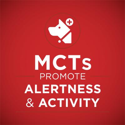 Show full view: Purina ONE +Plus Adult Classic Ground Vibrant Maturity Senior Adult 7+ Turkey & Barley Entree Canned Dog Food, 13-oz, case of 12 slide 5 of 12