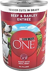 Purina ONE SmartBlend Tender Cuts in Gravy Beef & Barley Entree Adult Canned Dog Food, 13-oz, case of 12