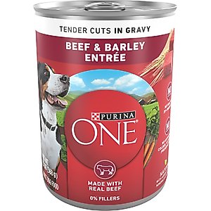 Purina ONE SmartBlend Tender Cuts in Gravy Beef & Barley Entree Adult Canned Dog Food, 13-oz, case of 12