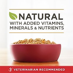 Purina ONE SmartBlend Adult Classic Ground Chicken & Brown Rice Entree Canned Dog Food, 13-oz, case of 12 slide 2 of 9