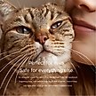 Show in main carousel: Pet Parents Pet WiPees Dog & Cat Eye Wipes, 100 count slide 2 of 9