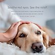 Show in main carousel: Pet Parents Pet WiPees Dog & Cat Eye Wipes, 100 count slide 4 of 9