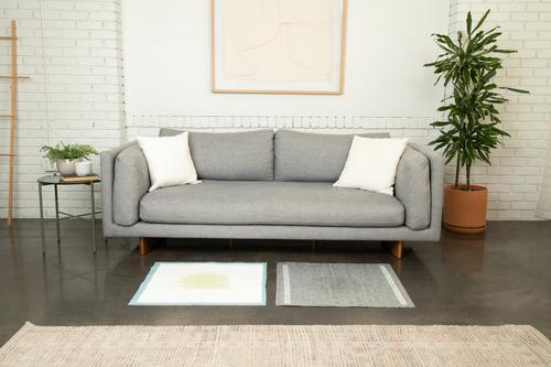 Show full view: Pet Parents PawtectOne Pads Disposable Dog & Cat Pee Pads, 28x30 inches, 75 count slide 7 of 11