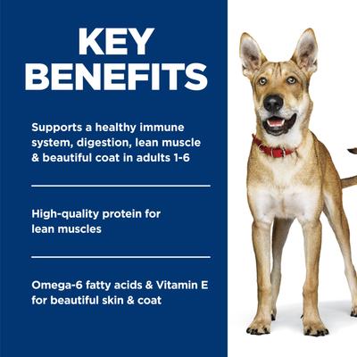 Show full view: Hill's Science Diet Adult Beef & Barley Entree Wet Dog Food, 13-oz can, case of 12 slide 4 of 12