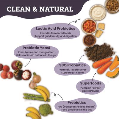 Show full view: Artisanal Paws Digestive Probiotic & Prebiotic Blend Powder Supplement for Cats, 3.8-oz jar slide 4 of 12