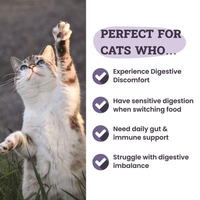Show full view: Artisanal Paws Digestive Enzyme Support Formula Powder Supplement for Cats, 3.8-oz jar slide 5 of 12