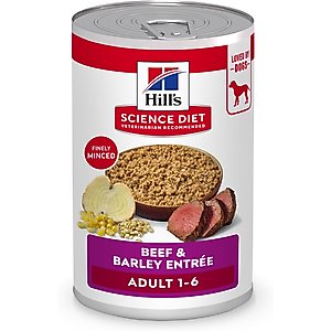 Hill's Science Diet Adult Beef & Barley Entree Wet Dog Food, 13-oz can, case of 12