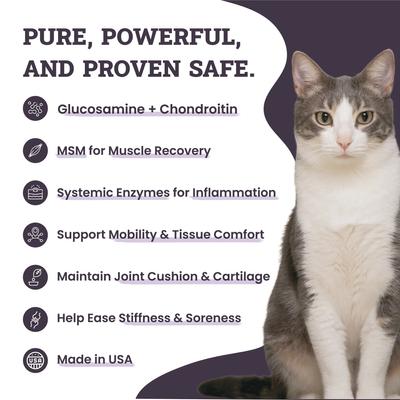 Show full view: Artisanal Paws Joint & Hip Daily Powder Supplement for Cats, 3.8-oz jar slide 3 of 12