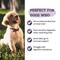 Show in main carousel: Artisanal Paws Digestive Probiotic & Prebiotic Blend Powder Supplement for Dogs, 3.8-oz jar slide 5 of 13