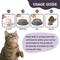 Show in main carousel: Artisanal Paws Digestive Probiotic & Prebiotic Blend Powder Supplement for Cats, 3.8-oz jar slide 6 of 12