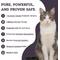 Show in main carousel: Artisanal Paws Digestive Probiotic & Prebiotic Blend Powder Supplement for Cats, 3.8-oz jar slide 3 of 12