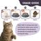 Show in main carousel: Artisanal Paws Digestive Enzyme Support Formula Powder Supplement for Cats, 3.8-oz jar slide 6 of 12