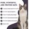 Show in main carousel: Artisanal Paws Digestive Enzyme Support Formula Powder Supplement for Cats, 3.8-oz jar slide 3 of 12