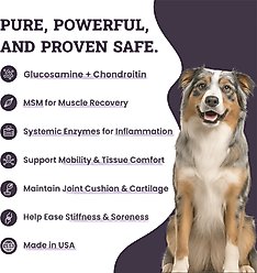 Artisanal Paws Joint & Hip Daily Powder Supplement for Dogs, 3.8-oz jar slide 2 of 9