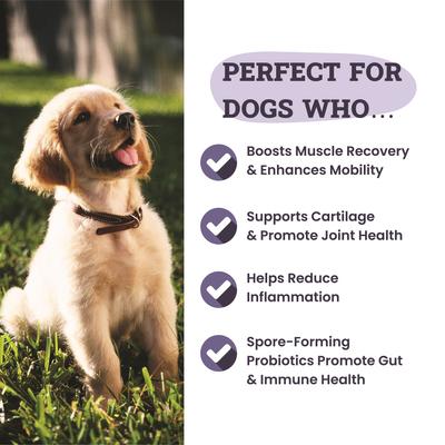 Show full view: Artisanal Paws Joint & Hip Daily Powder Supplement for Dogs, 3.8-oz jar slide 5 of 13