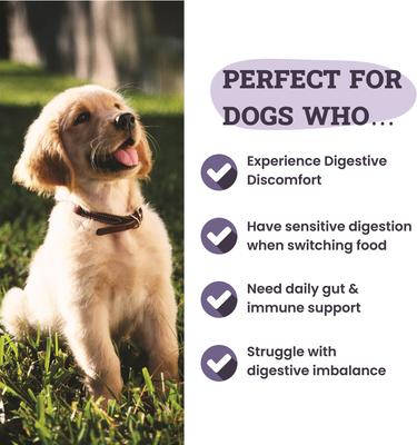 Show full view: Artisanal Paws Digestive Enzyme Support Formula Powder Supplement for Dogs, 3.8-oz jar slide 5 of 13