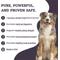 Show in main carousel: Artisanal Paws Digestive Enzyme Support Formula Powder Supplement for Dogs, 3.8-oz jar slide 3 of 13