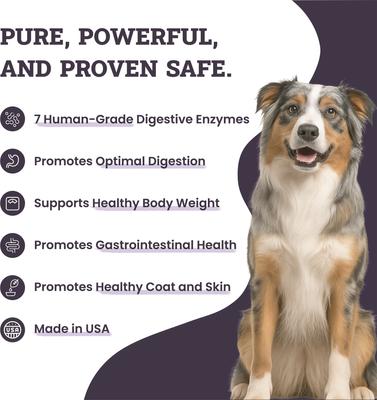 Show full view: Artisanal Paws Digestive Enzyme Support Formula Powder Supplement for Dogs, 3.8-oz jar slide 3 of 13