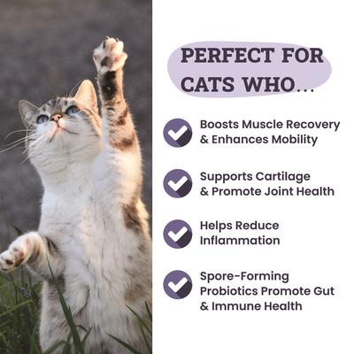 Show full view: Artisanal Paws Joint & Hip Daily Powder Supplement for Cats, 3.8-oz jar slide 5 of 12