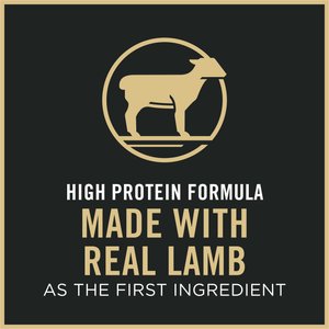 Purina Pro Plan Adult Sensitive Skin & Stomach Lamb & Rice Formula Dry Cat Food, 7-lb bag