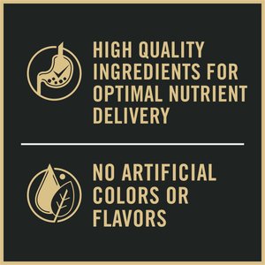 Purina Pro Plan Adult Sensitive Skin & Stomach Lamb & Rice Formula Dry Cat Food, 7-lb bag