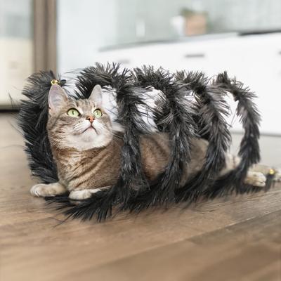 Show full view: Playology Fuzzy Tunnel Cat Toy slide 3 of 7