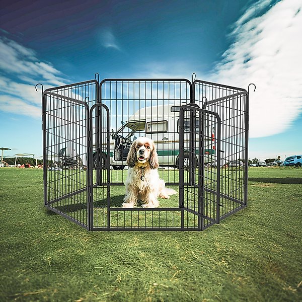 Show full view: Zeus & Ruta Metal Dog Playpen with Door, Black, 31.7-in, 6 panel slide 2 of 7
