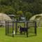 Show in main carousel: Zeus & Ruta Metal Foldable Dog Playpen, Black, 32-in, 8 panel slide 2 of 6