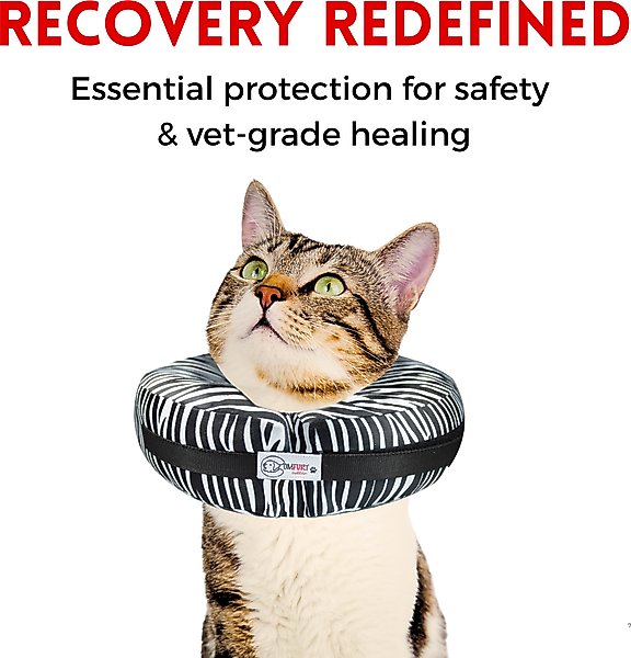 Show full view: COMFURT COLLAR Stuffed Not Inflatable Dog & Cat Recovery Collar, Black, Medium slide 5 of 8