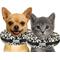 Show in main carousel: COMFURT COLLAR Stuffed Not Inflatable Dog & Cat Recovery Collar, XX-Small, Cheetah slide 1 of 9