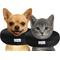 Show in main carousel: COMFURT COLLAR Stuffed Not Inflatable Dog & Cat Recovery Collar, XX-Small, Black slide 1 of 9