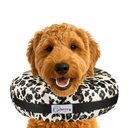COMFURT COLLAR Stuffed Not Inflatable Dog & Cat Recovery Collar, Cheetah, X-Large