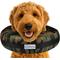 Show in main carousel: COMFURT COLLAR Stuffed Not Inflatable Dog & Cat Recovery Collar, Camo, X-Large slide 1 of 9