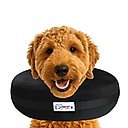 COMFURT COLLAR Stuffed Not Inflatable Dog & Cat Recovery Collar, Black, X-Large