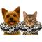 Show in main carousel: COMFURT COLLAR Stuffed Not Inflatable Dog & Cat Recovery Collar, Cheetah, Small slide 1 of 11