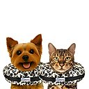 COMFURT COLLAR Stuffed Not Inflatable Dog & Cat Recovery Collar, Cheetah, Small