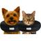 Show in main carousel: COMFURT COLLAR Stuffed Not Inflatable Dog & Cat Recovery Collar, Black, Small slide 1 of 9